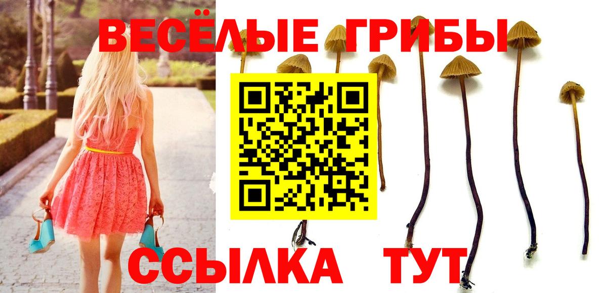 Нефтеюганск  Галлюциногенные грибы ЛСД  Галлюциногенные грибы Cubensis  Вход с VPN 